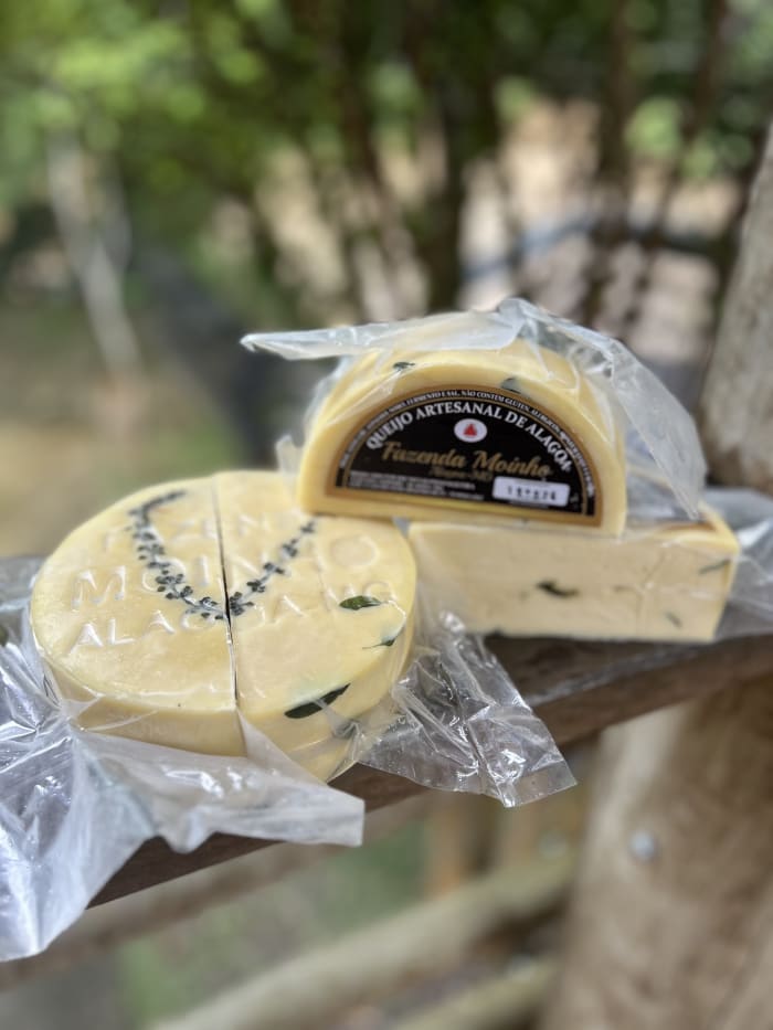 Queijo Alagoa Fazenda Moinho Manjericão