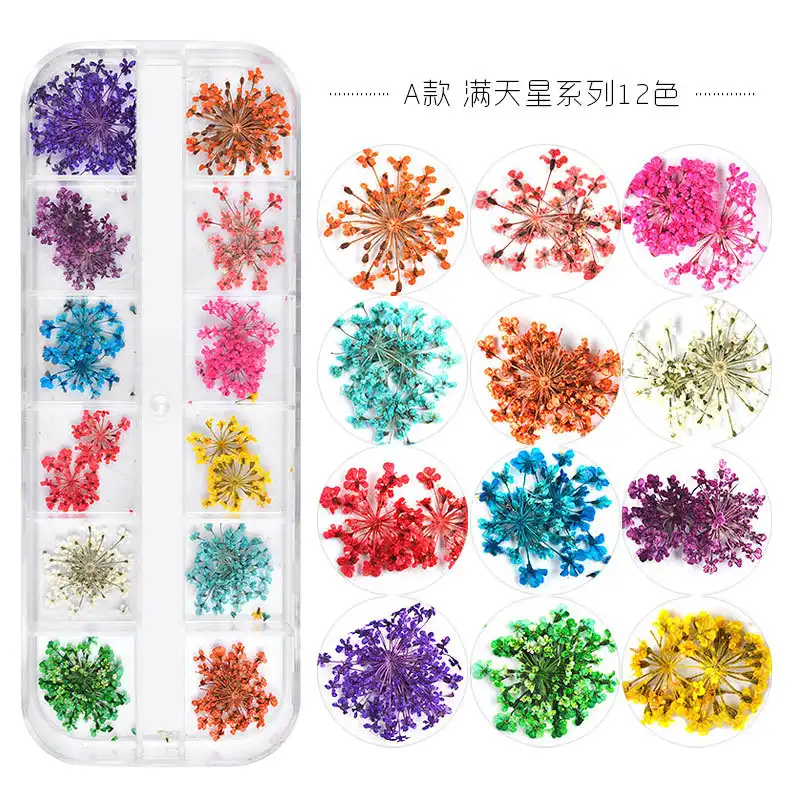 Dried nail flower 12 colors small daisy dried flower boxed nail art dried flower