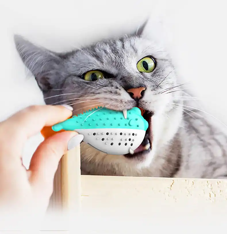 Pet toothbrush clean teeth nibble fish toy cat toothbrush cat toothbrush