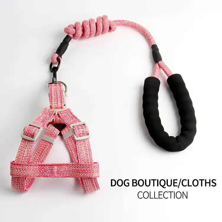 Pet traction rope small and medium-sized dog round rope chest and back traction supplies