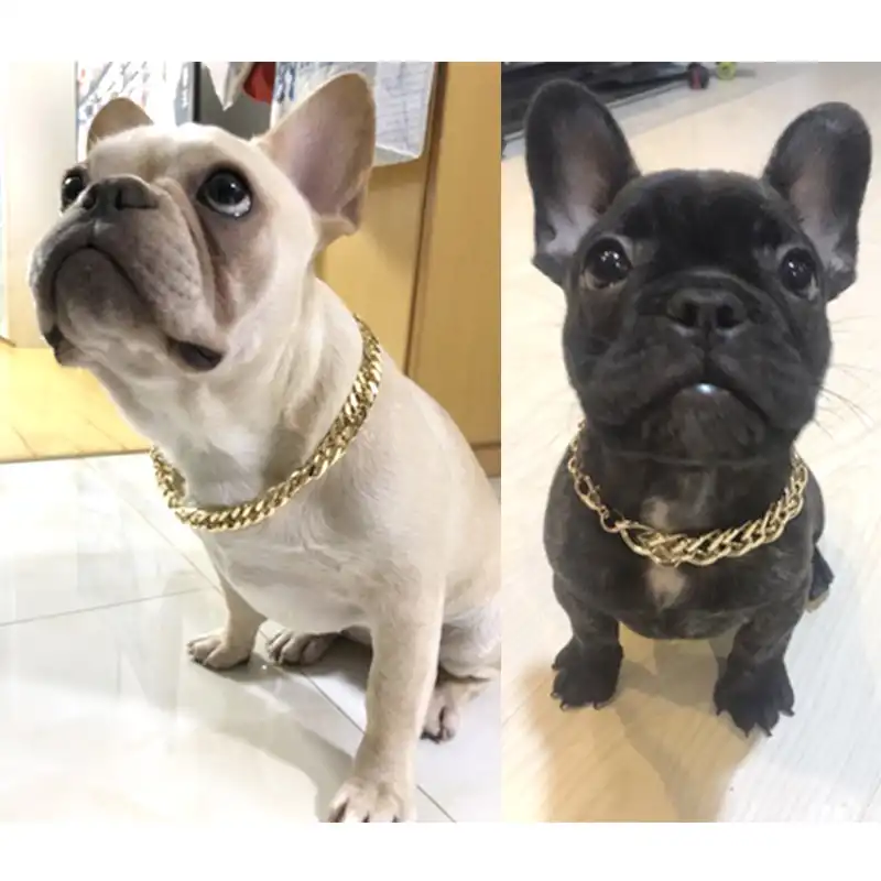 Teddy Pagoda Law Fighting Dog Bully Gold Chain Collar Pet Necklace Jewelry Accessories