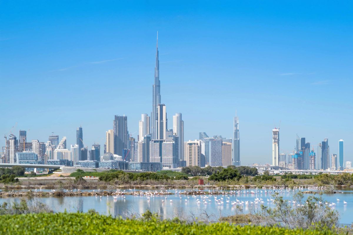 Top 5 Wellness-Based Real Estate Projects in the UAE