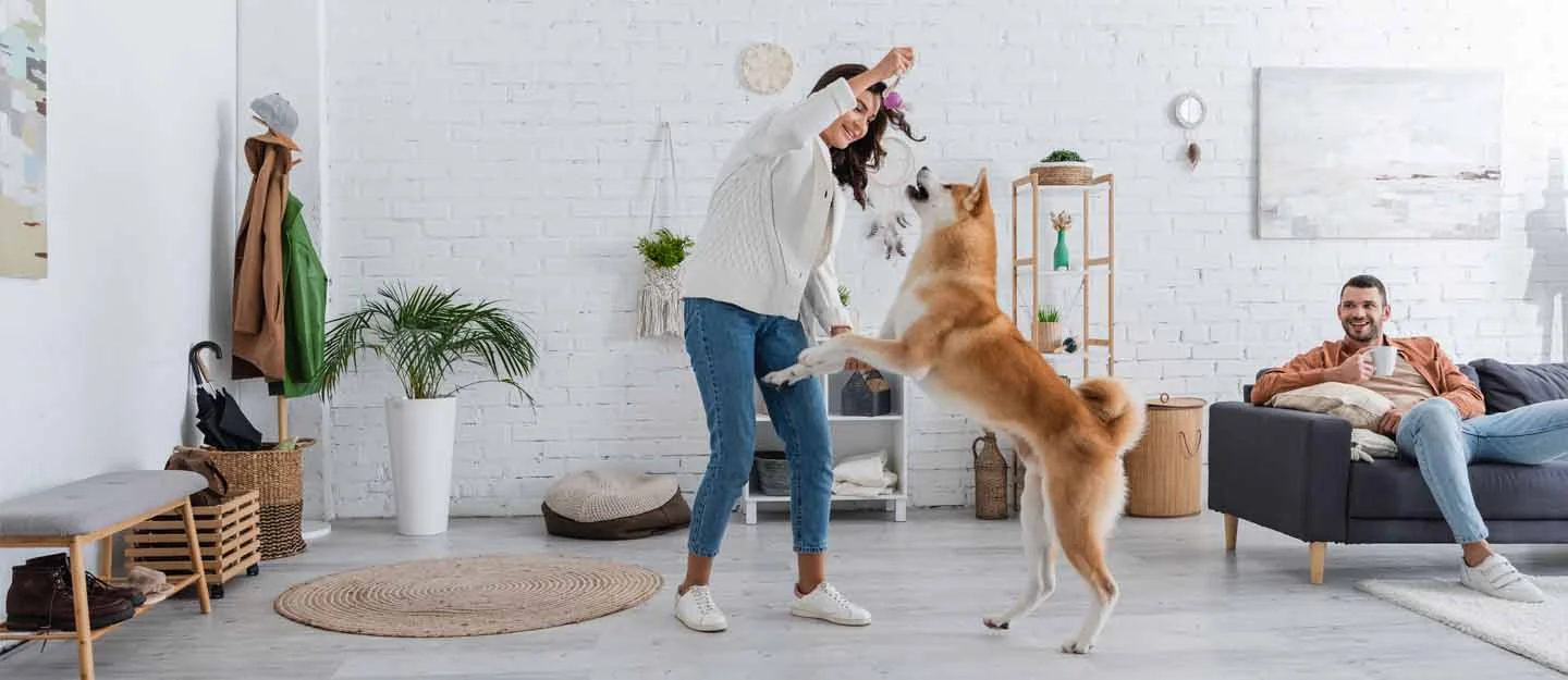 Pet-Friendly Communities in Dubai and Abu Dhabi