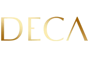 Developer Logo
