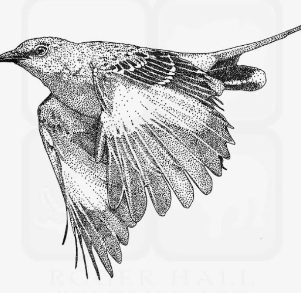 Mockingbird 
