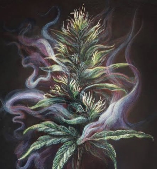Dro ft. PullUpQueen