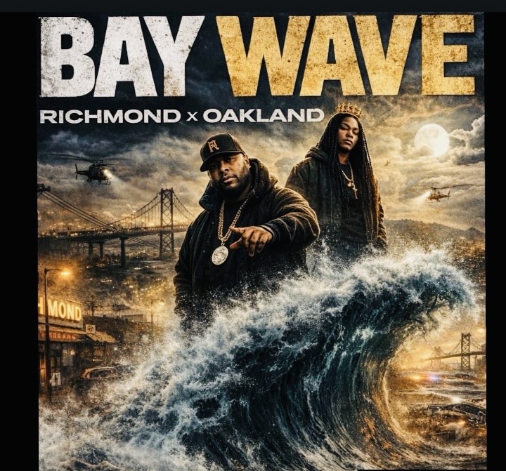 dat BAY WAVE 