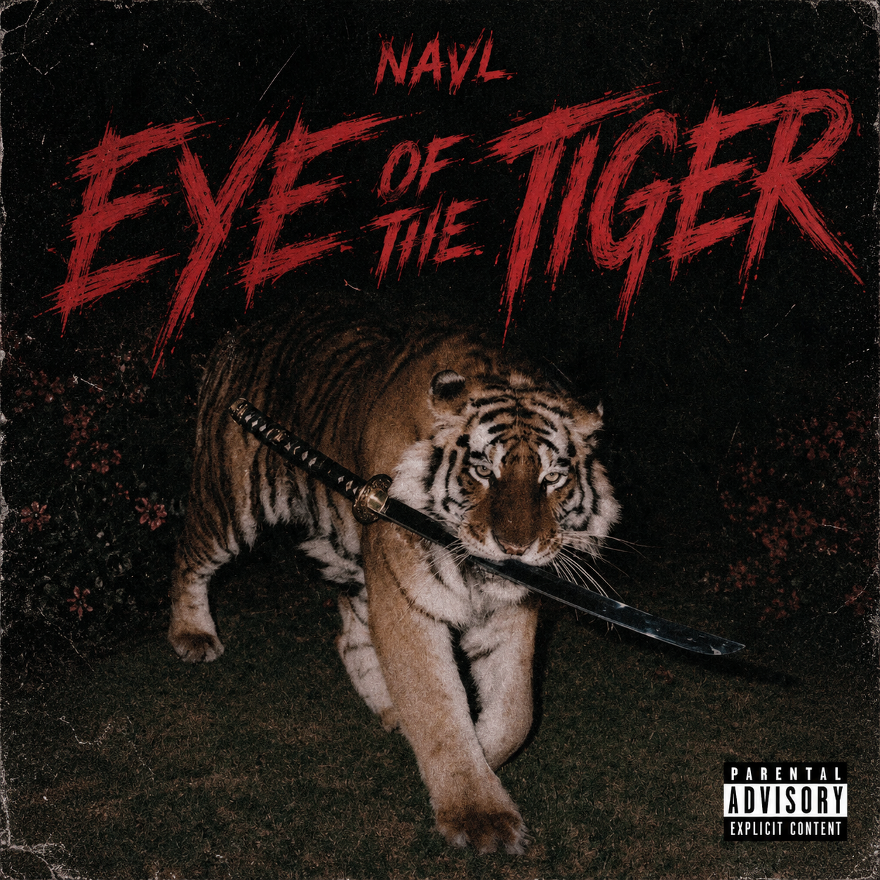 Eye Of The Tiger