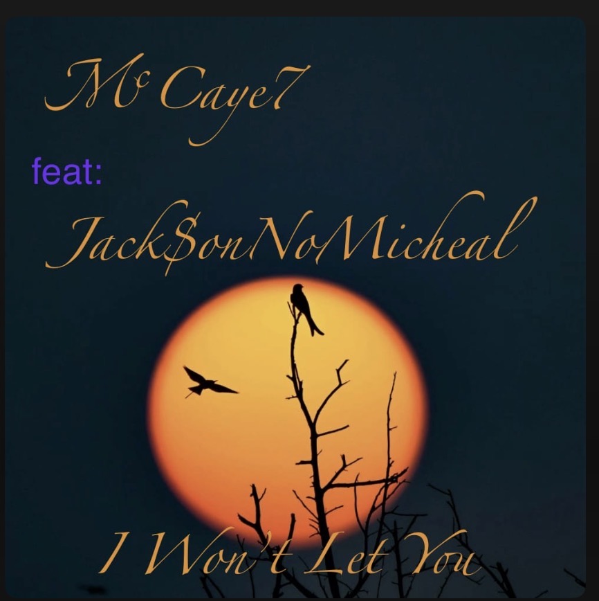 I Won’t Let You 