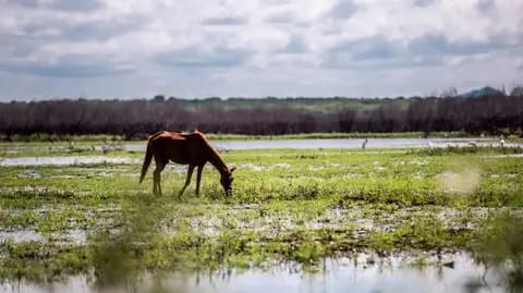 El Niño forte pode deixar Ceará mais quente e ameaçar chuvas de 2027