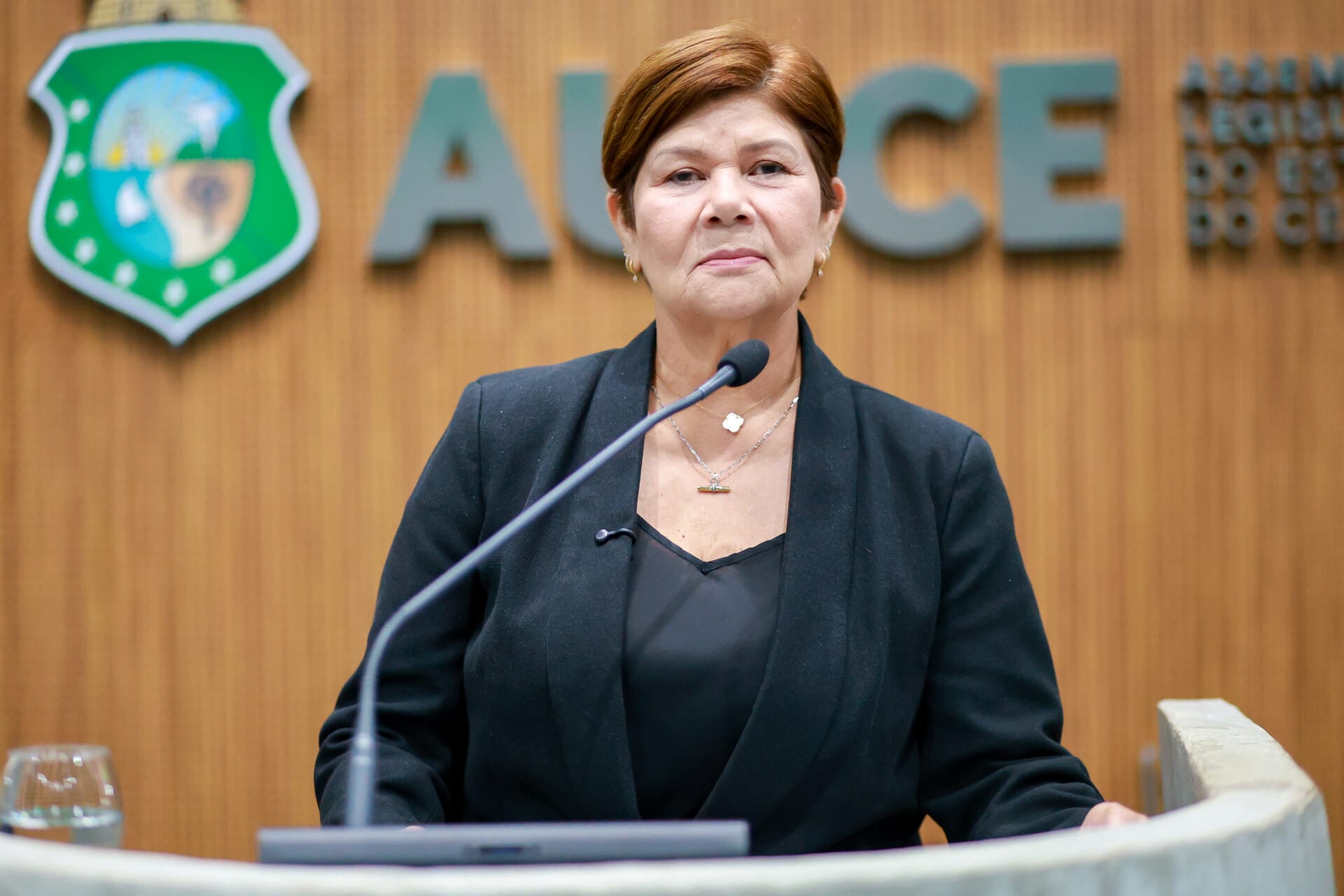 Deputada propõe política estadual para frear abate e valorizar o jumento no Ceará