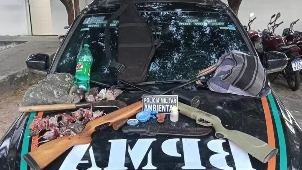 PM apreende armas e aves abatidas durante operação contra caça ilegal no Ceará