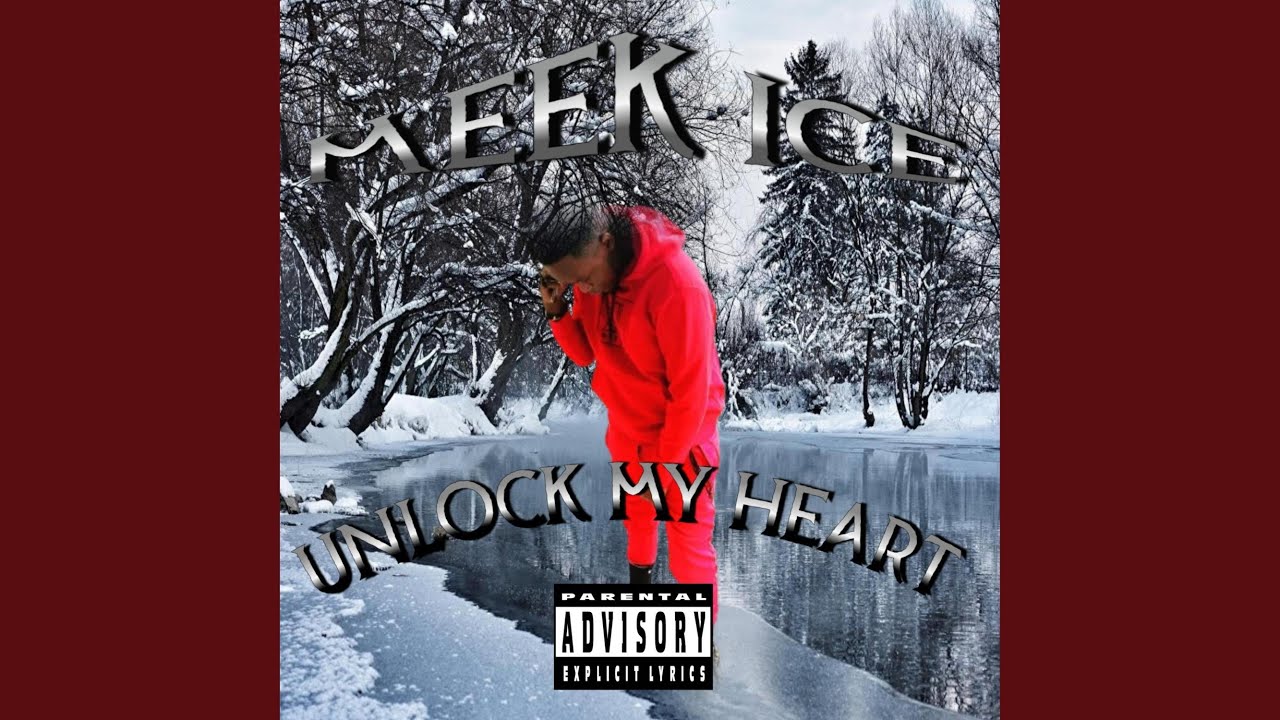 Rap music video- My Place by Meek Ice received from 298 to 16K Views in 5 Days using Vedzzy Google Ads campaign