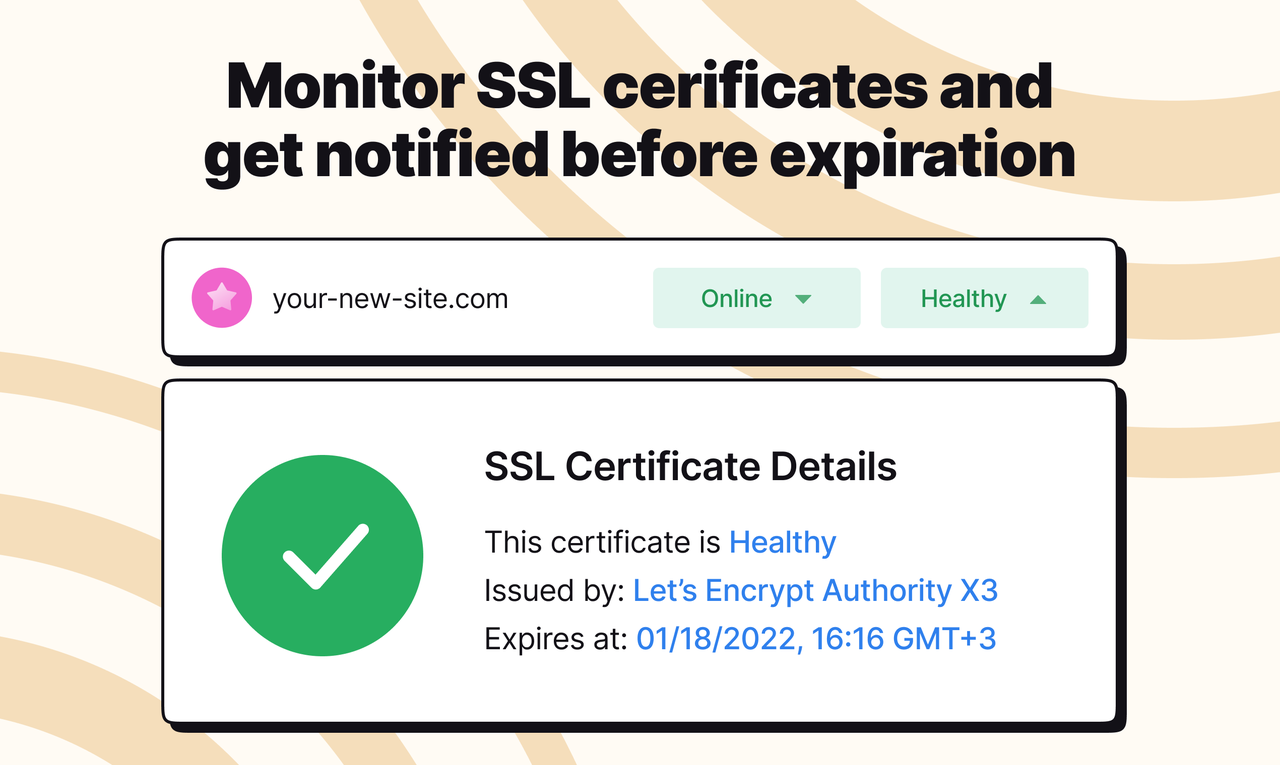 Pulsetic - Imagem 5 Pulsetic - Imagem 5