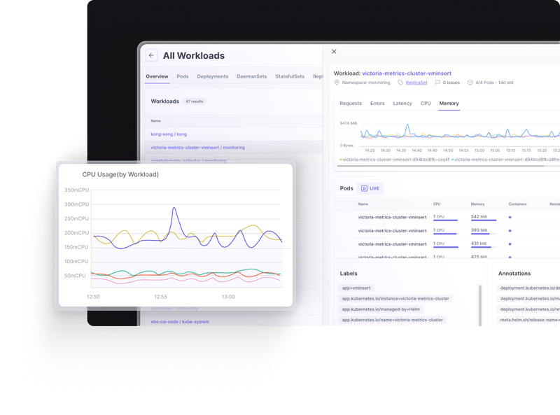 groundcover - Imagem 5 groundcover - Imagem 5