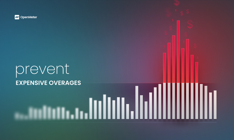 OpenMeter Cloud - Imagem 4 OpenMeter Cloud - Imagem 4