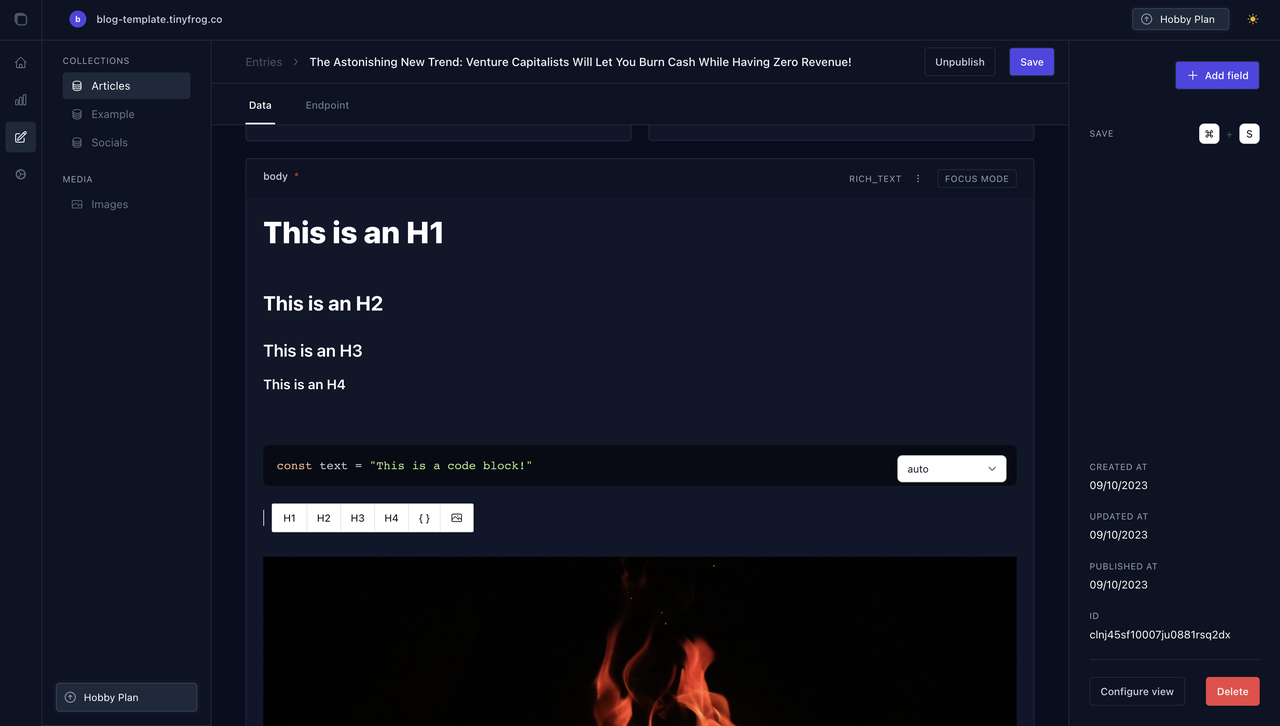 tinyfrog - Imagem 3 tinyfrog - Imagem 3