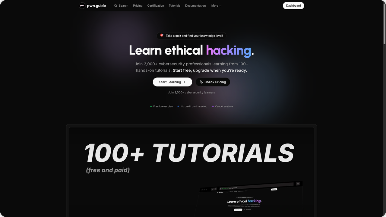 pwn.guide - Imagem 2