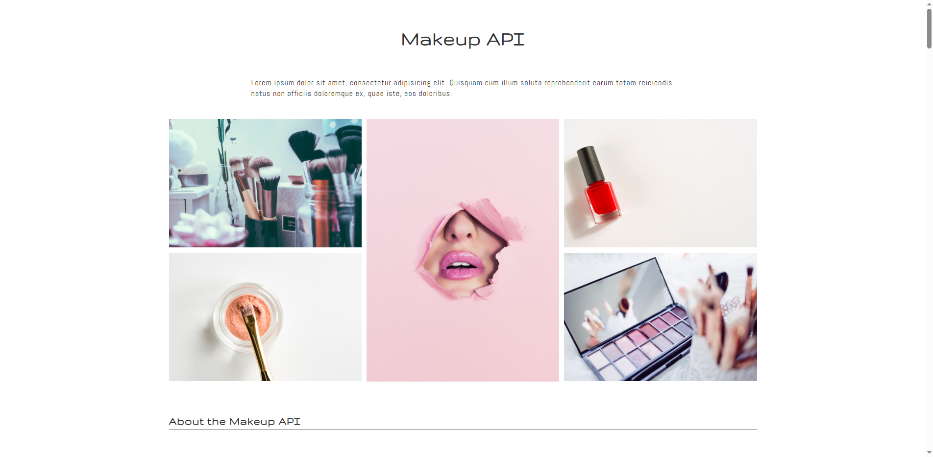 Makeup API