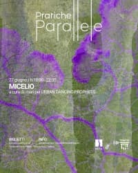 MICELIO - PERFORMANCE