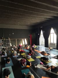 FREE YOGA FLOW