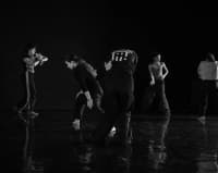 danza contemporanea