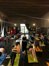 FREE YOGA FLOW