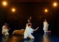 lab arte performativa