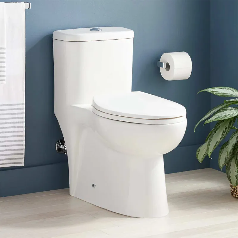 Clearwater One Piece Toilet