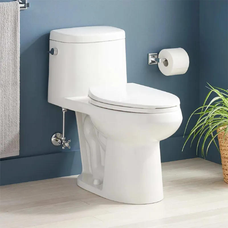 Naples One Piece Toilet