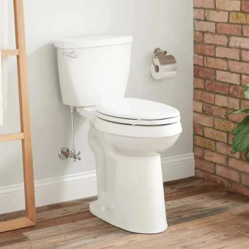 Sarasota Elevated Two Piece Toilet