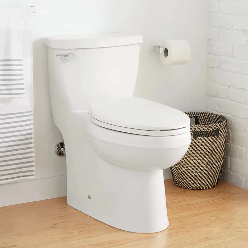 Sarasota One Piece Toilet