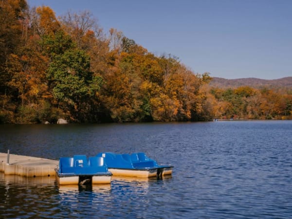 Lake Lucerne Catamaran Tour