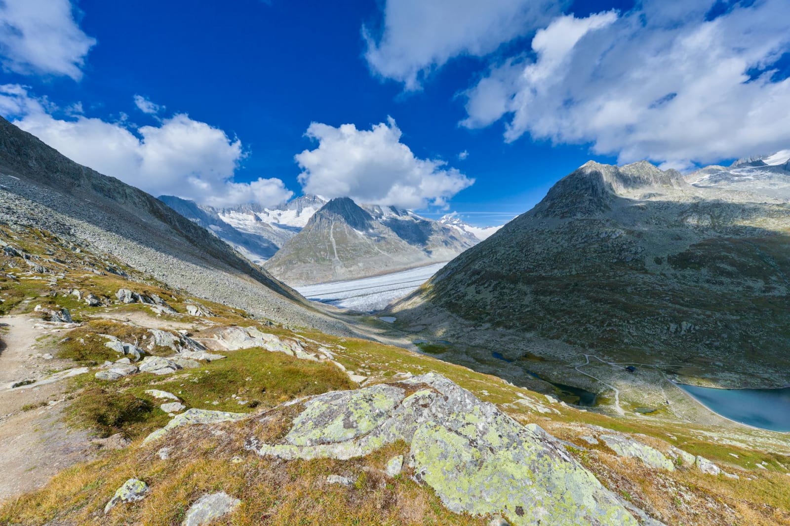Aletsch Arena