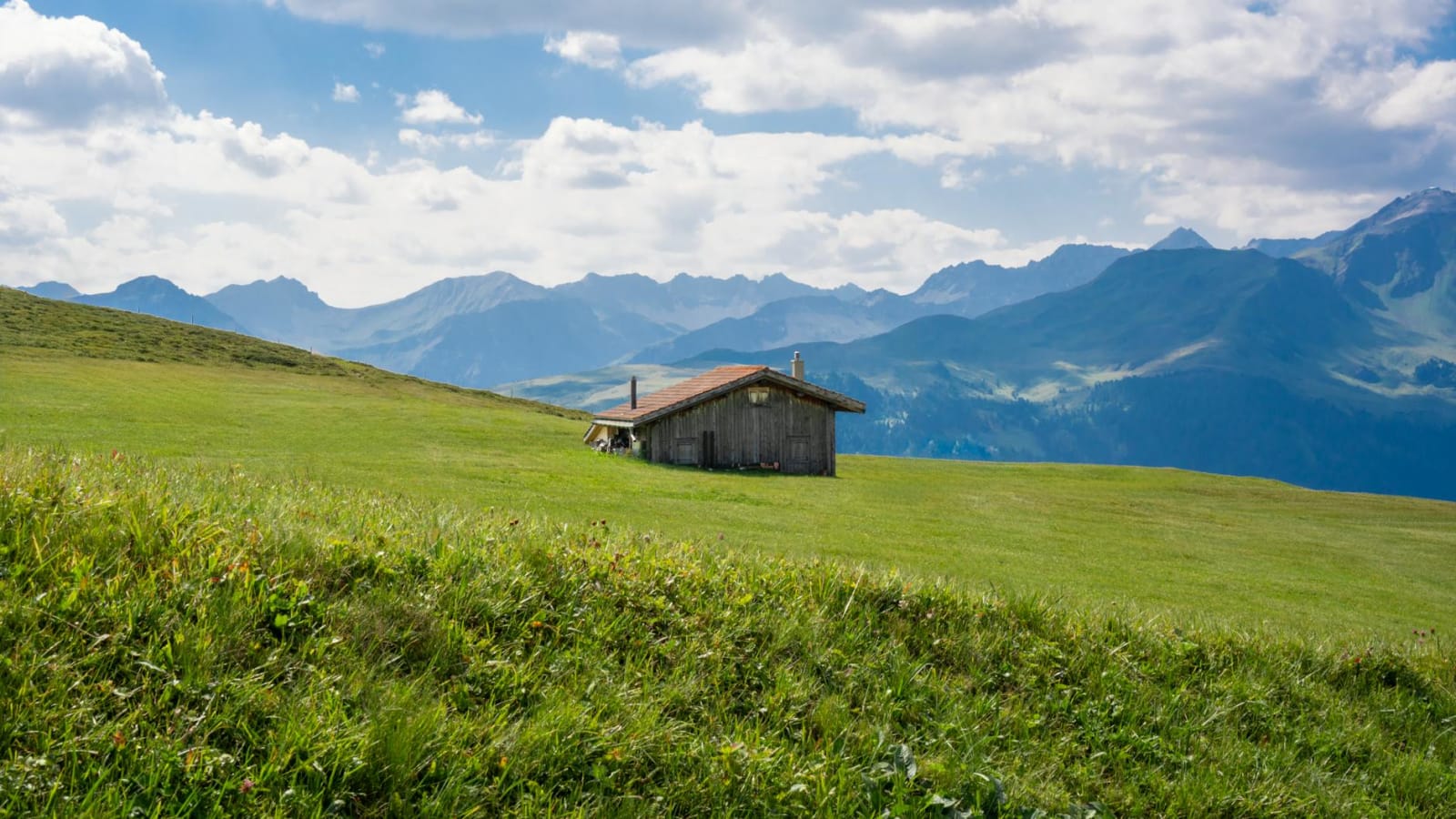 Arosa