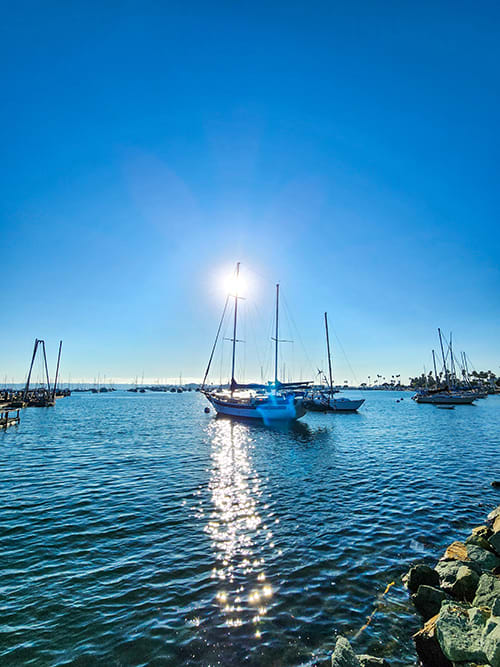 Cover photo