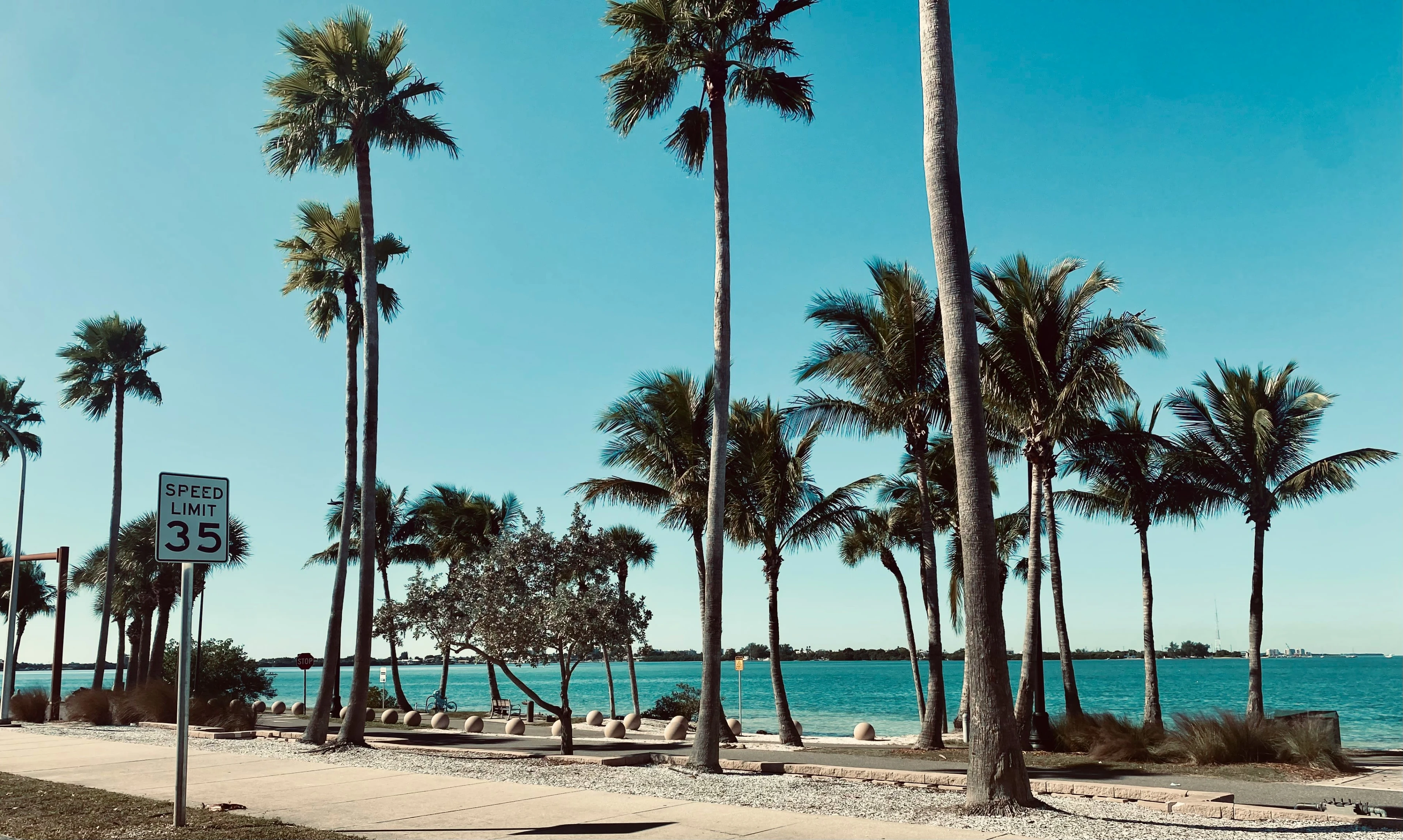 Explore Tampa: The Best Hotels, Restaurants and Attractions in the City
