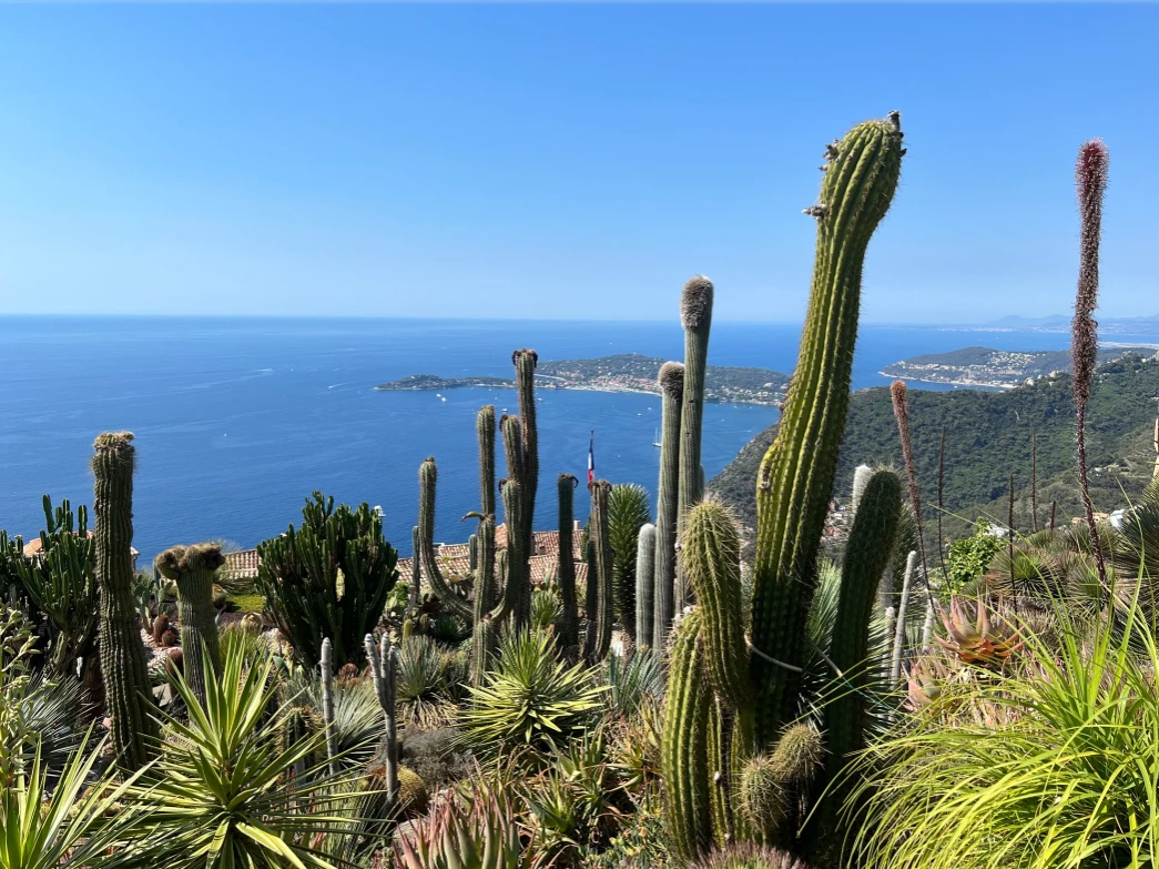 Your Guide to the French Riviera