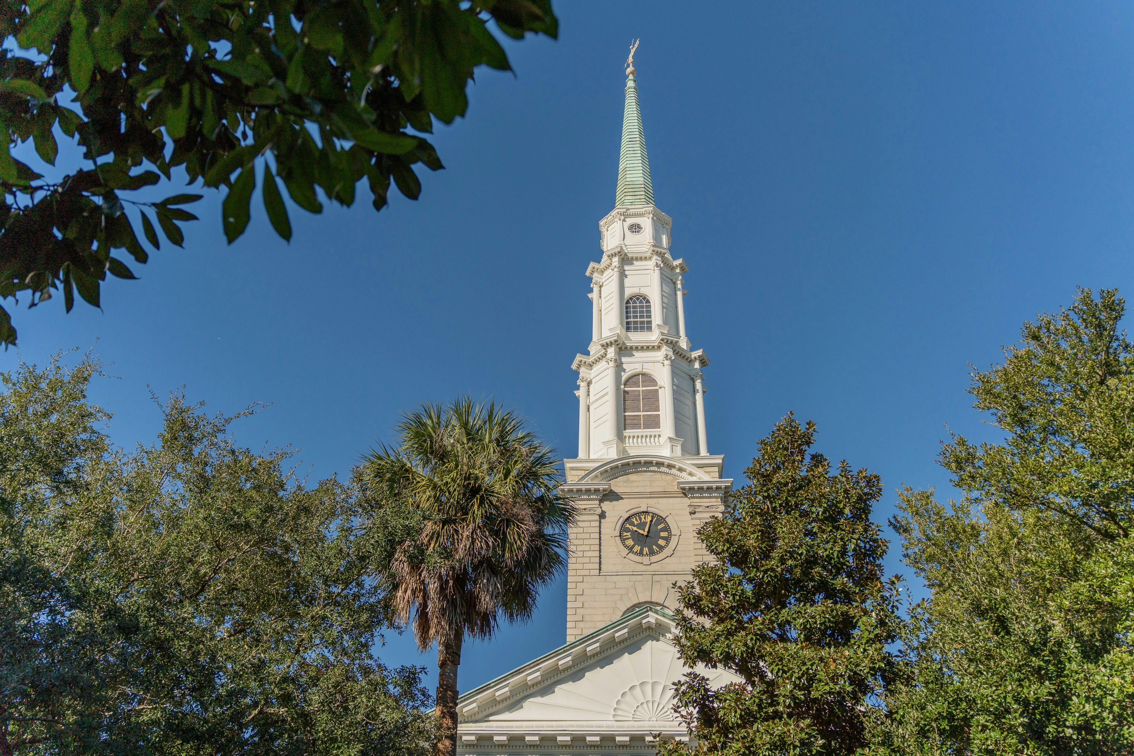 Savannah for First-Time Visitors: The Ultimate Guide