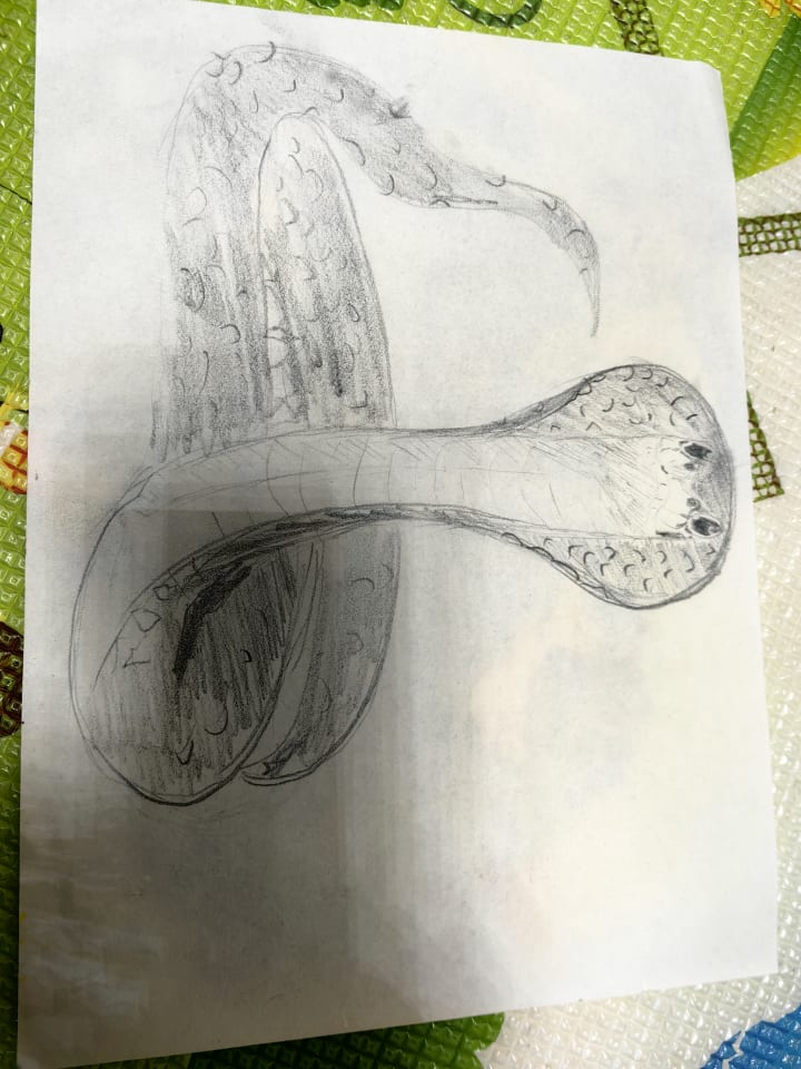 小艺术家的第52幅作品