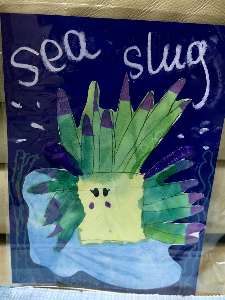 小艺术家的第27幅作品