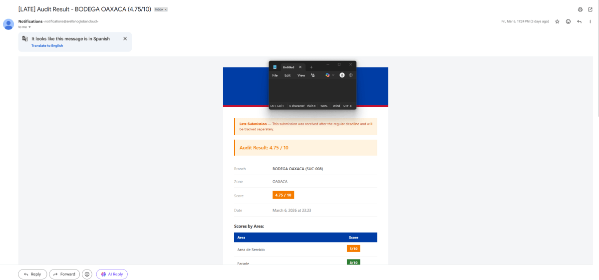 Audit result email showing AI scores