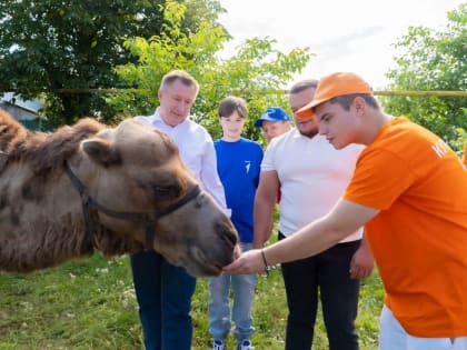 Активисты помогают цирковому верблюду после беды