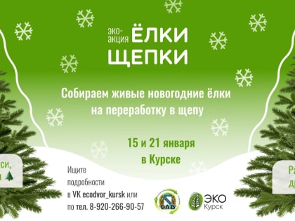 В Курске 15 и 21 января «Экотакси» заберет новогодние елки