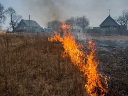 За поджог травы и сжигание мусора предусмотрены штрафы