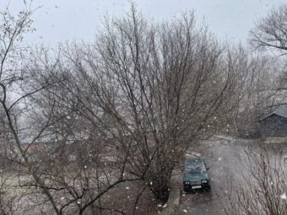 В Курской области ночью 1 апреля ожидается мокрый снег