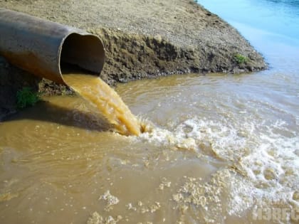 Курская область. Канализационные стоки сбрасывали в водоём