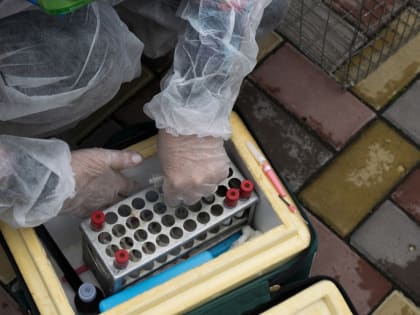 В Курской области не зарегистрировано случаев птичьего гриппа