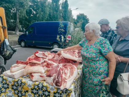 В Курской области на 50 тысяч рублей за служебный подлог оштрафован ветеринар
