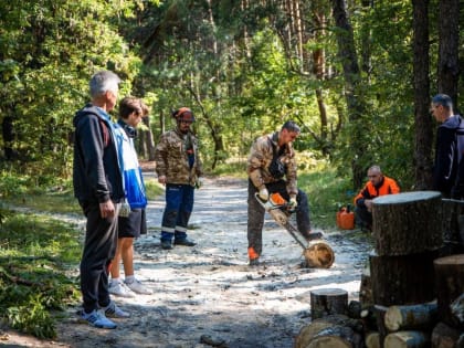 14 октября в Курске пройдут субботники